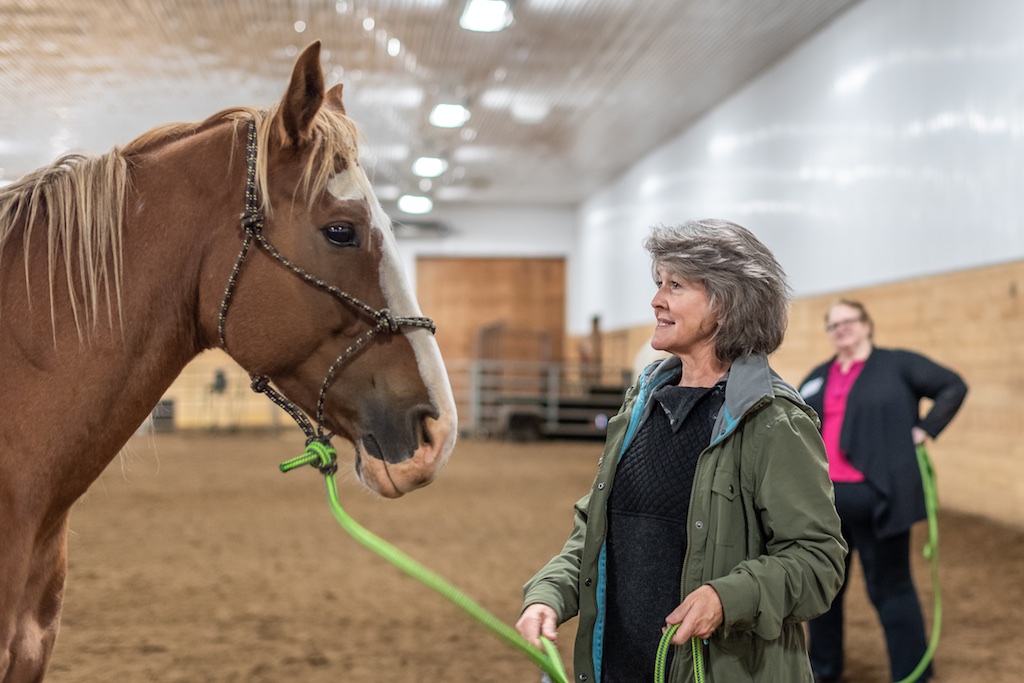 Horse, Alison